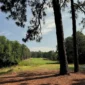 What Tournaments Should Junior Golfers Play In?